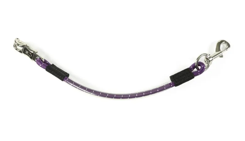 Shires Heavy Duty Trailer Tie Purple